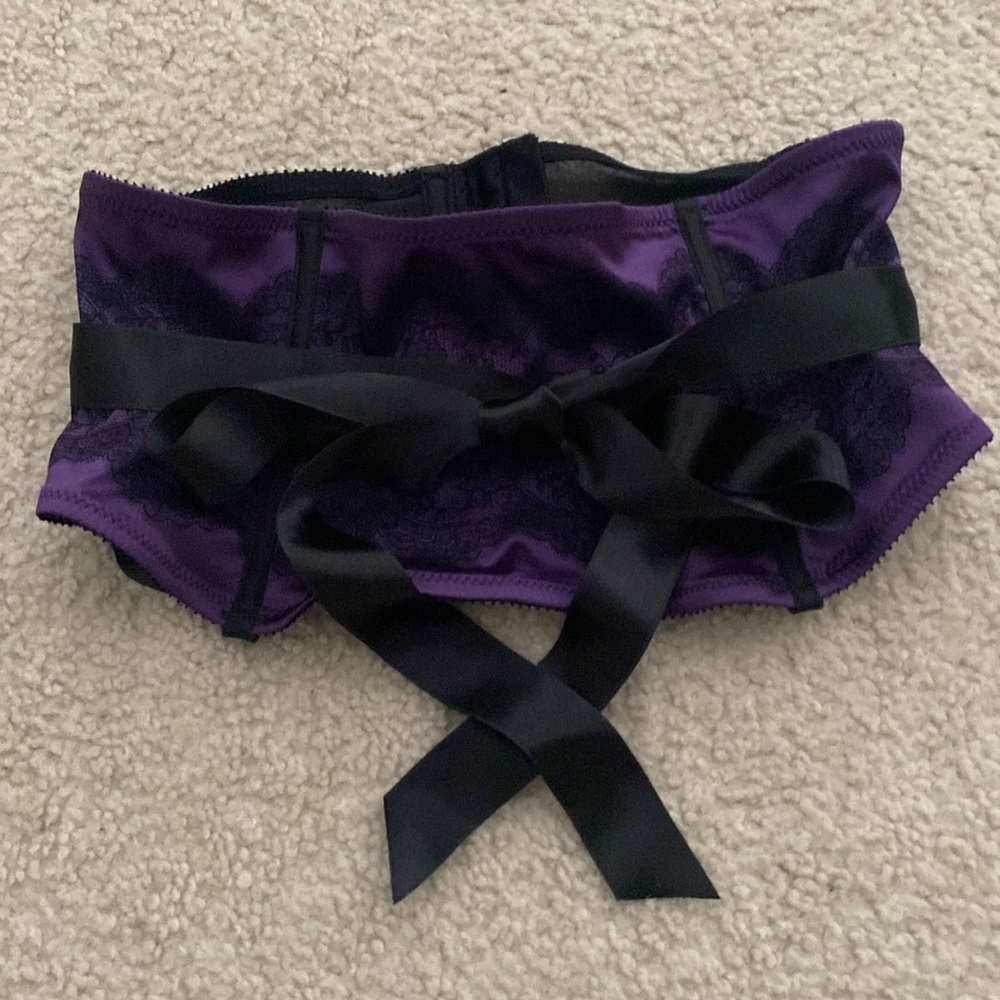 Chantelle Paris Waist Cincher/Garter Belt - Picture 8 of 12